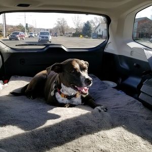 Meet your Posher, Renee